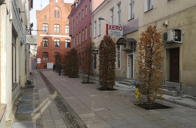 {Drzewa pojawiły się na części ulicy Skłodowskiej-Curie w Olsztynie.}